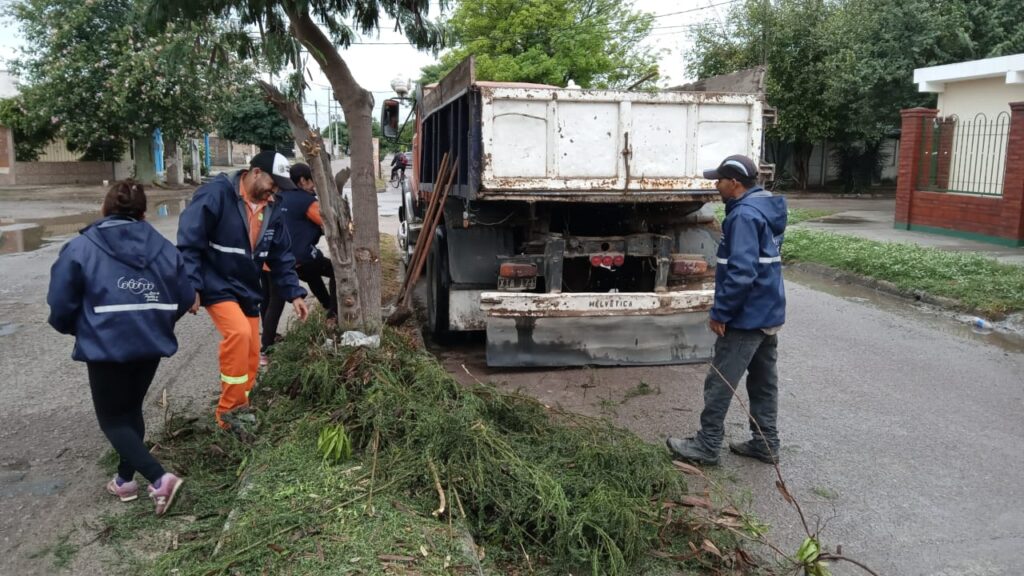 Nediani intensifica las tareas de fumigación y desmalezado en diferentes barrios de la ciudad Nediani intensifica las tareas de fumigación y desmalezado en diferentes barrios de la ciudad