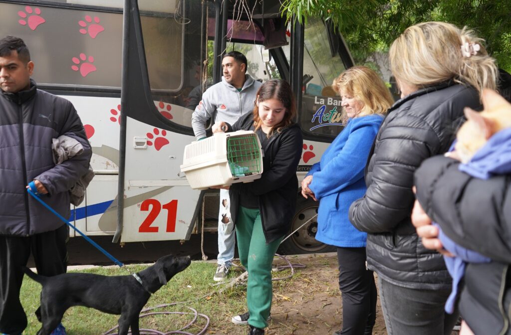 “Día del animal” con castraciones gratuitas y charlas de concientización
