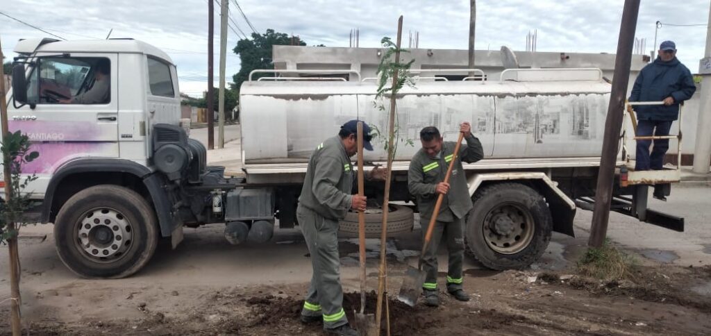 Plantaron árboles en espacios públicos del barrio Primera Junta