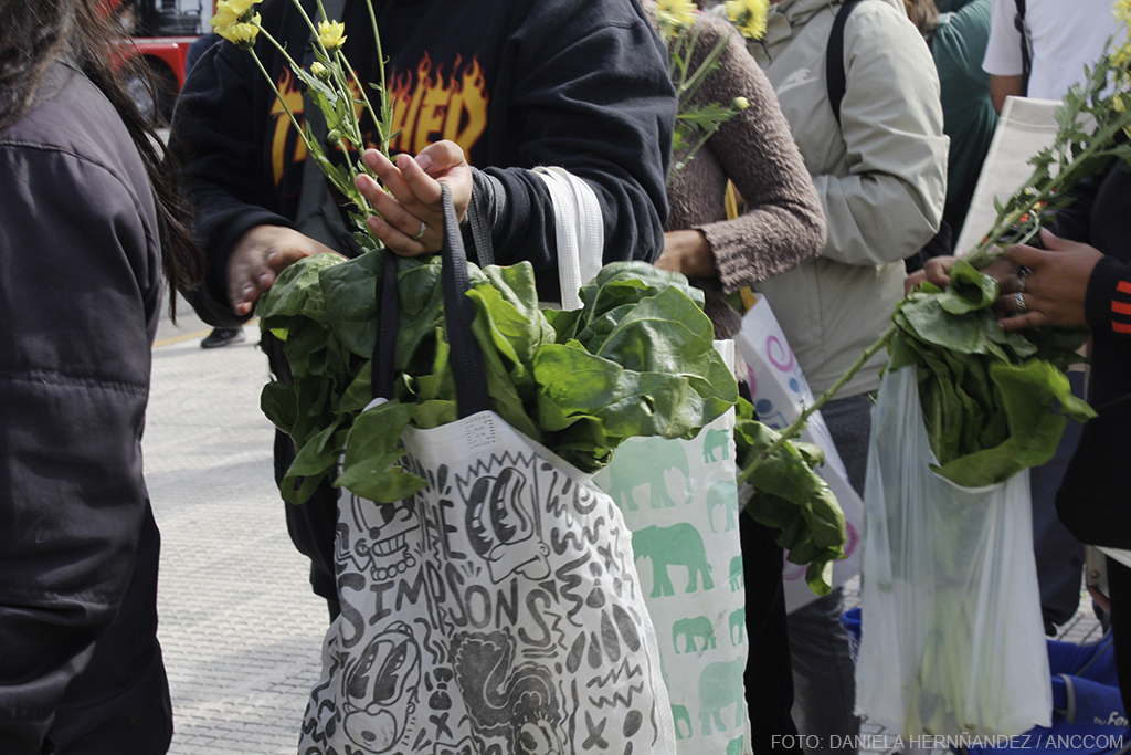 La Unión de Trabajadores de la Tierra abrirá su almacén campesino en ciudad Capital