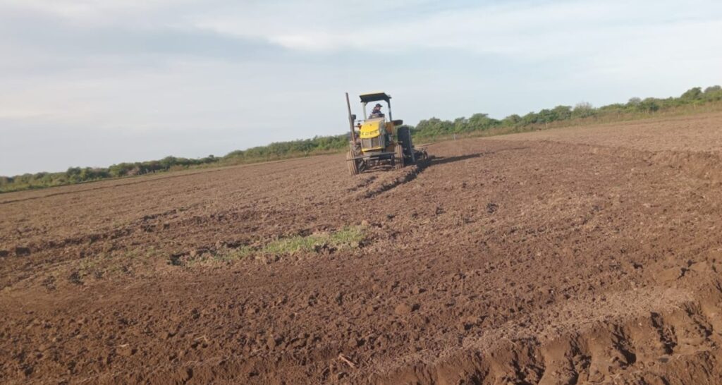Logran duplicar la producción agrícola en la zona de Clodomira