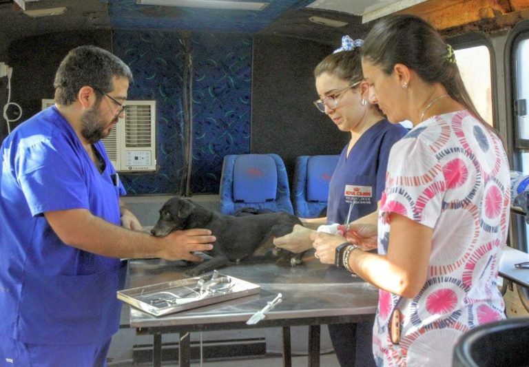 El Centro Integral de Sanidad Animal amplía su atención veterinaria
