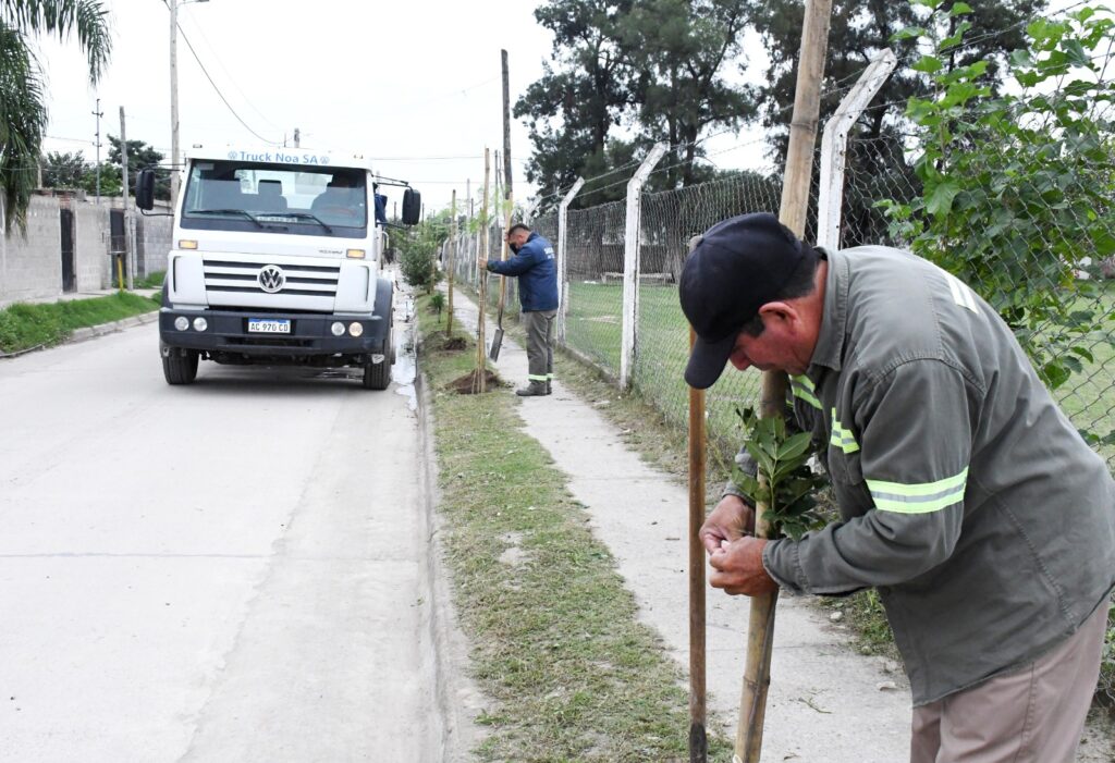 Realizaron plantaciones de árboles en los barrios Lomas del Golf y La Católica