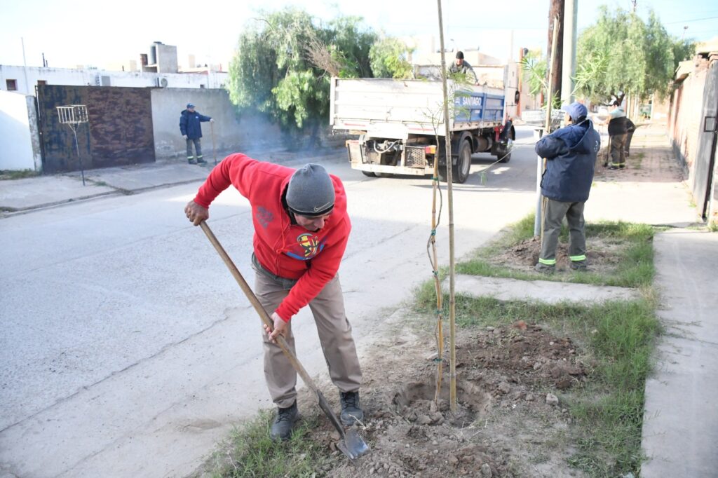 Inician la plantación de 4500 nuevas especies arbóreas en el barrio Almirante Brown Inician la plantación de 4500 nuevas especies arbóreas en el barrio Almirante Brown