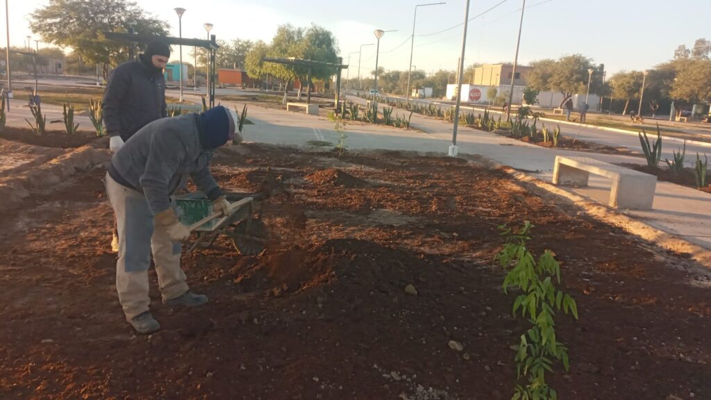 Colonia El Simbolar celebra el Día del Medio Ambiente con mejoras en espacios verdes