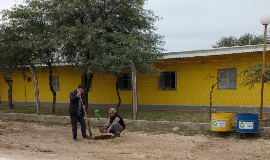 Plantación de especies arbóreas en la Misión Monotécnica de Colonia El Simbolar