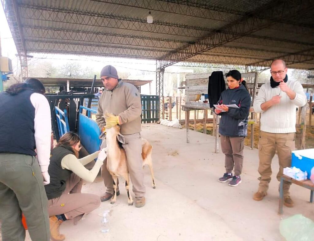 La Unse y el Conicet potencian investigaciones en sanidad caprina