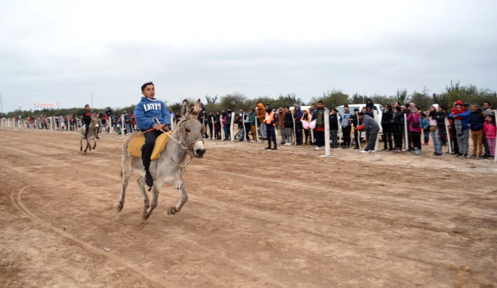 Se desarrolló con éxito la Expo Caprina y Rally Maratón de Burros de Vaca Human