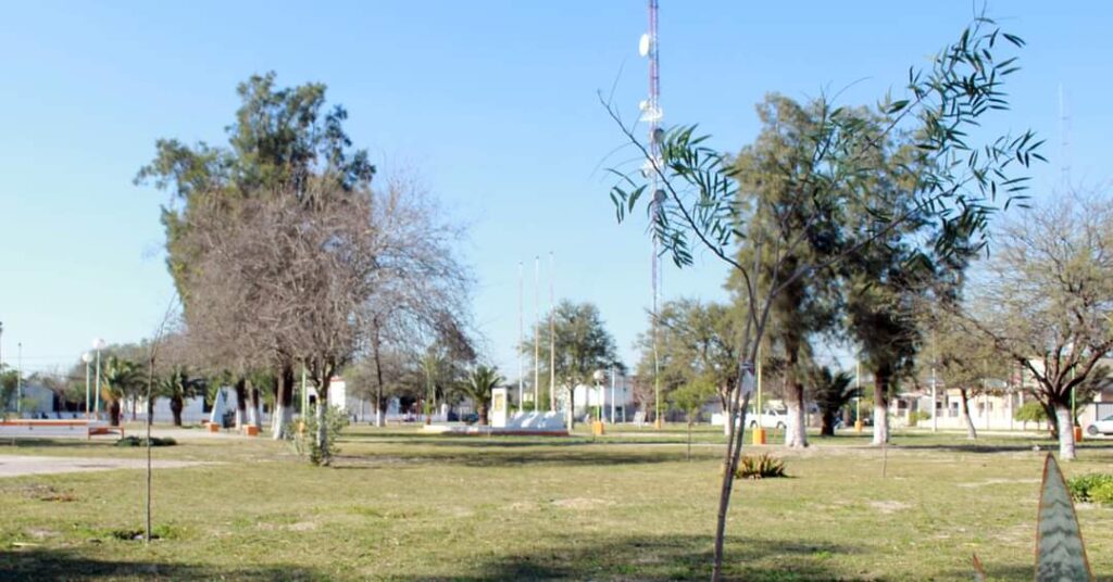 Plantaran decenas de especies arbóreas en espacios públicos de la ciudad de Pinto