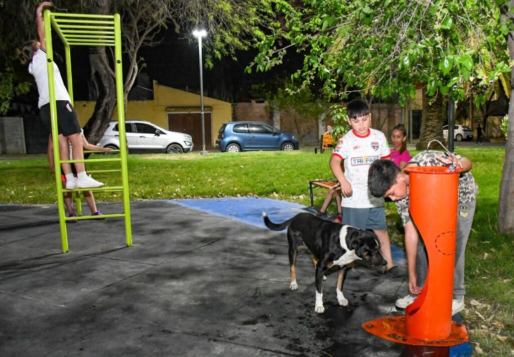 Capital: Incorporan bebederos para mascotas en espacios verdes