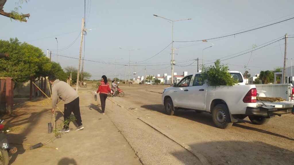 Avanza el plan de forestación en barrios de Colonia El Simbolar Avanza el plan de forestación en barrios de Colonia El Simbolar