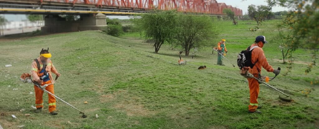 Realizaron el desmalezamiento y limpieza de avenidas de la ciudad
