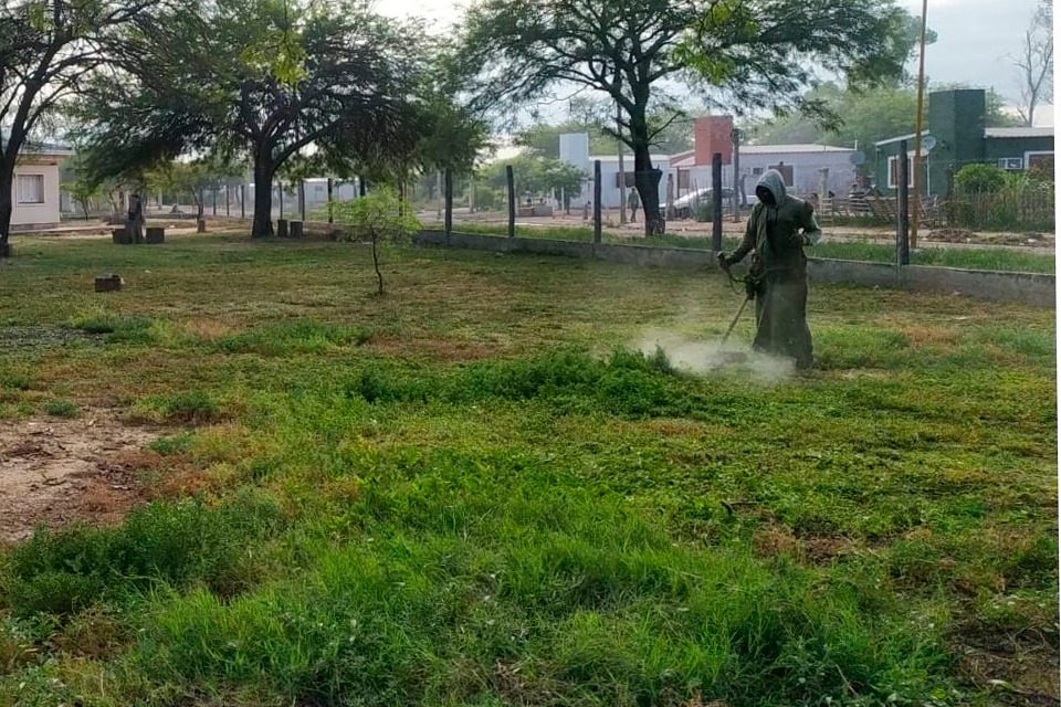 Ejecutan tareas limpieza y desmalezamiento en instituciones de Colonia El Simbolar Ejecutan tareas limpieza y desmalezamiento en instituciones de Colonia El Simbolar