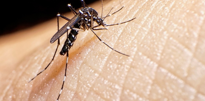Operativo de vacunación contra el dengue en la Unse