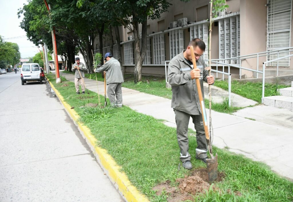 Plantarán más de 3600 árboles en el barrio Sáenz Peña