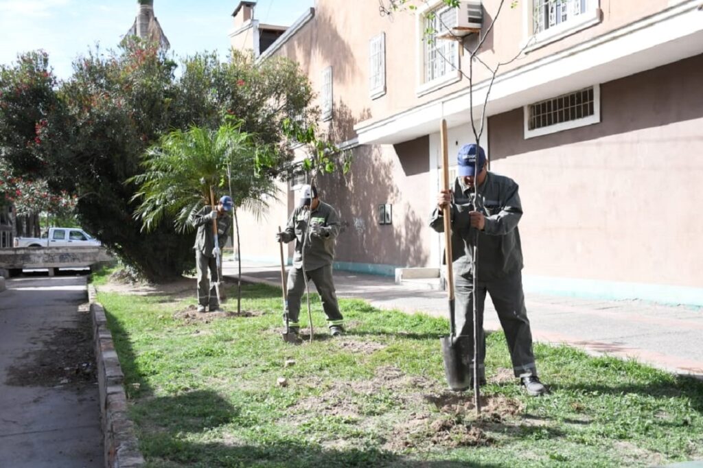 Plantarán 3400 árboles en el barrio Francisco de Aguirre