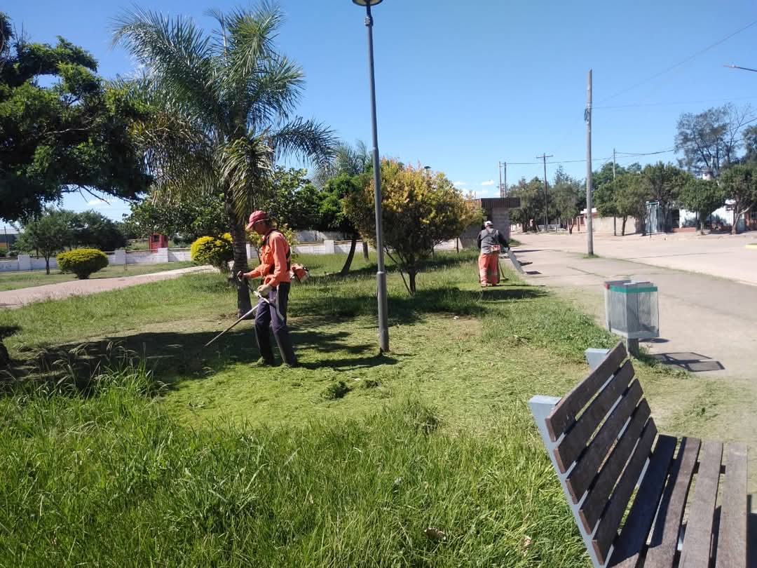 En Frías intensifican tareas de limpieza y desmalezamiento en espacios ...