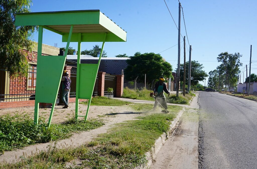 Trabajo entre el municipio y la provincia para monitorear criaderos de Aedes Aegypti