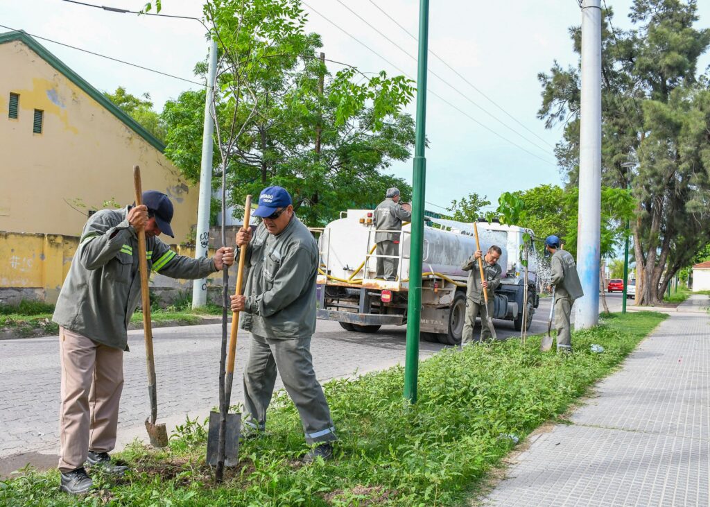 Plantarán más de 3.000 árboles en el barrio Rivadavia