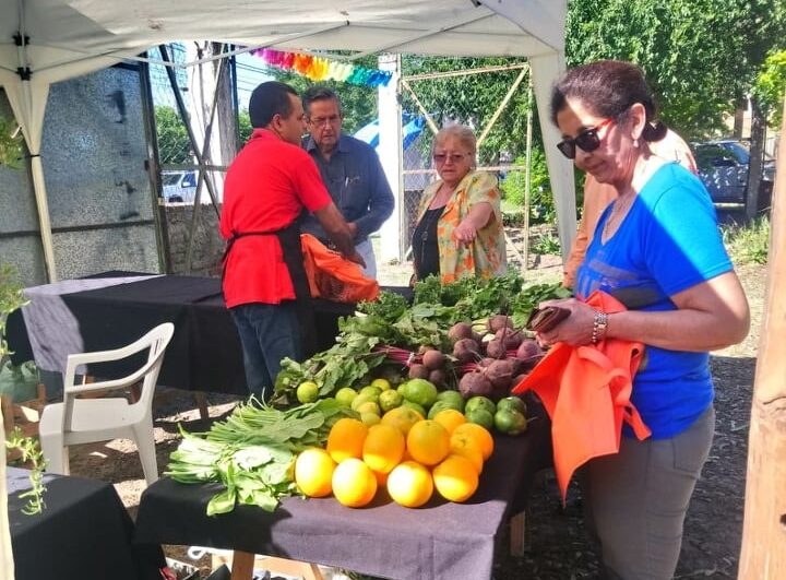 Realizarán una nueva edición de la feria de la Economía Social en la sede del INTA