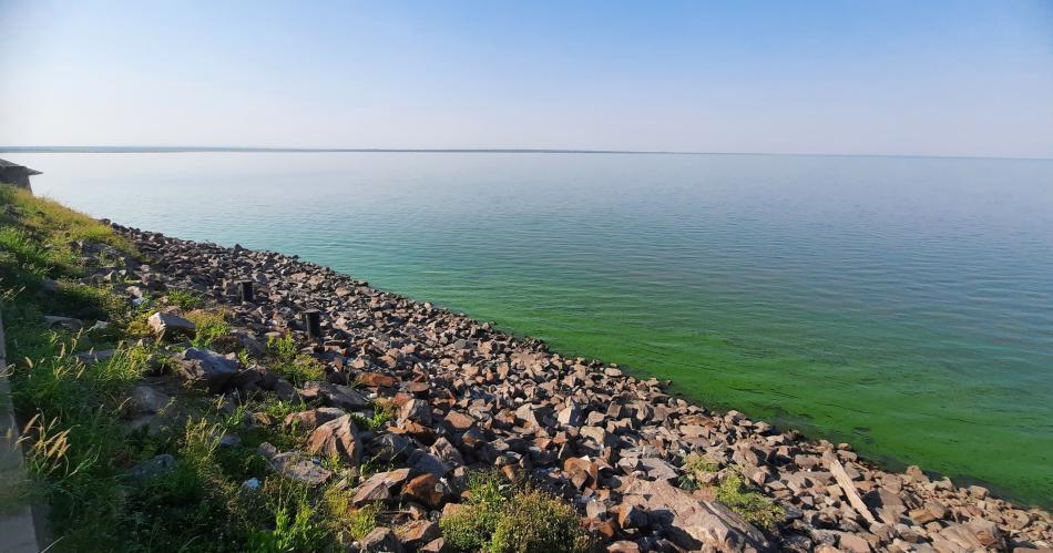 Detectan algas en la cuenca Salí-Dulce y desde Santiago pidieron informes al gobierno tucumano