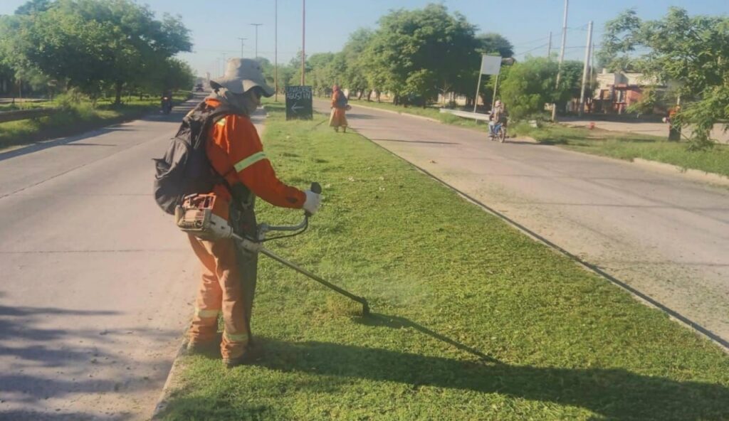 Realizaron tareas de desmalezamiento en Avenida Lugones