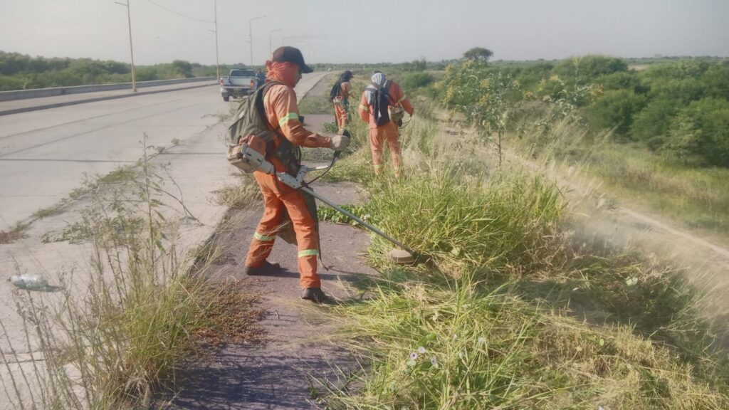 Realizaron un amplio operativo de limpieza en la Costanera Sur