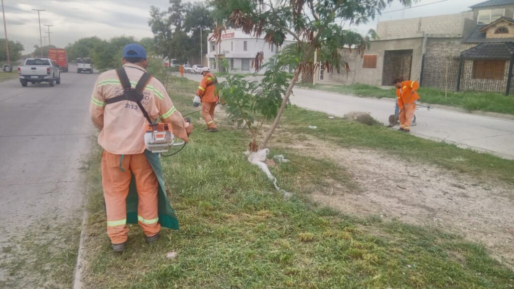 Trabajan en el desmalezamiento de platabandas y laterales de avenida Lugones
