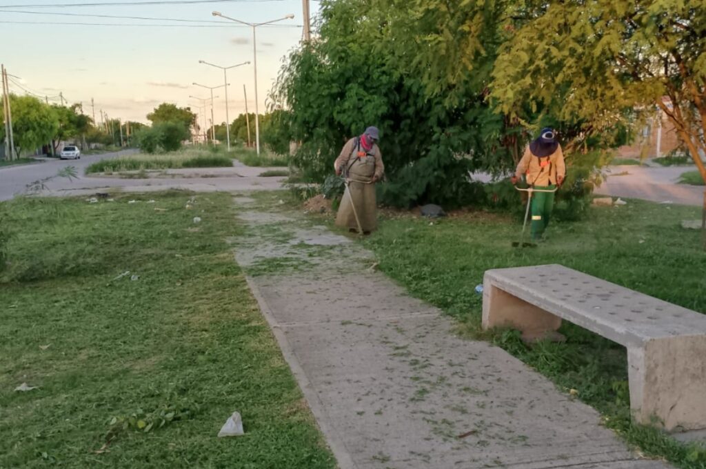 intensifican los trabajos de desmalezamiento y limpieza en la ciudad