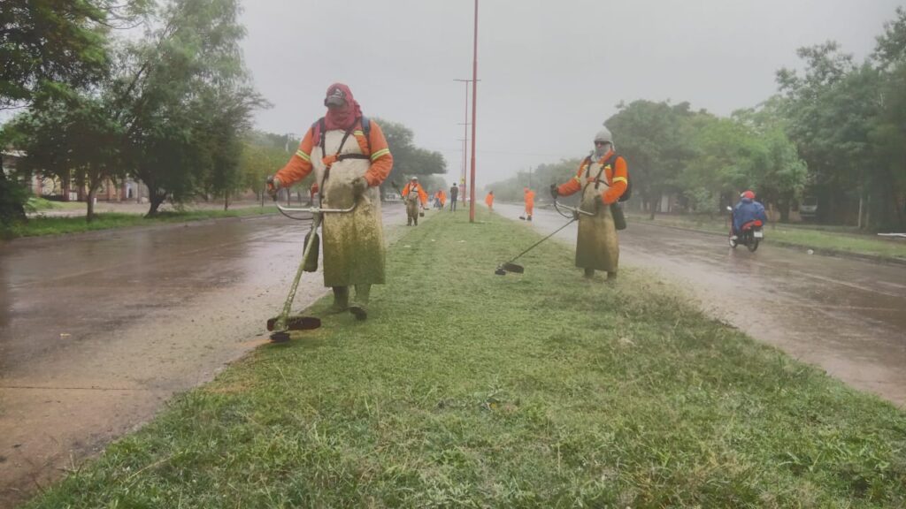 Realizaron tareas de limpieza en un amplio tramo de avenida Lugones