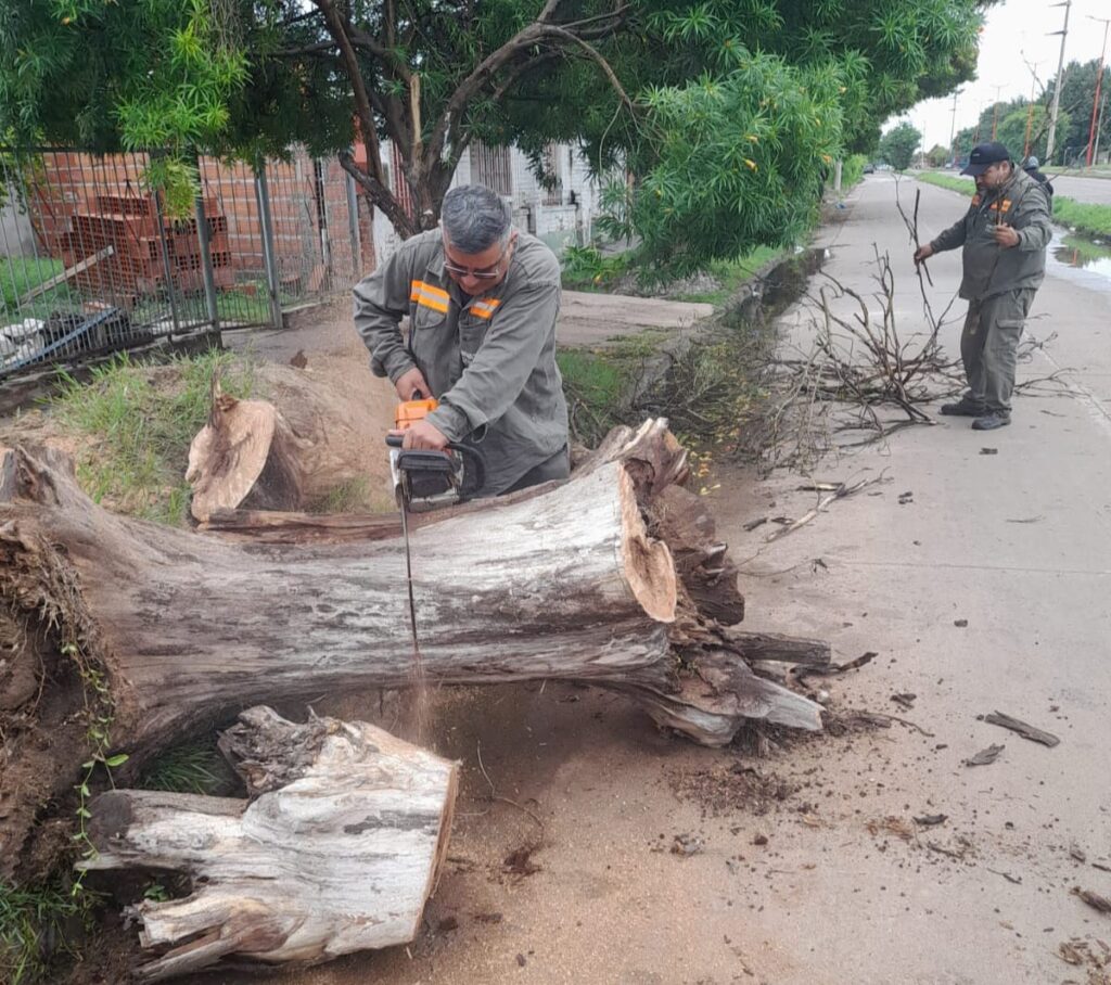 Trabajaron en el despeje de calles de ramas y árboles caídos por el viento