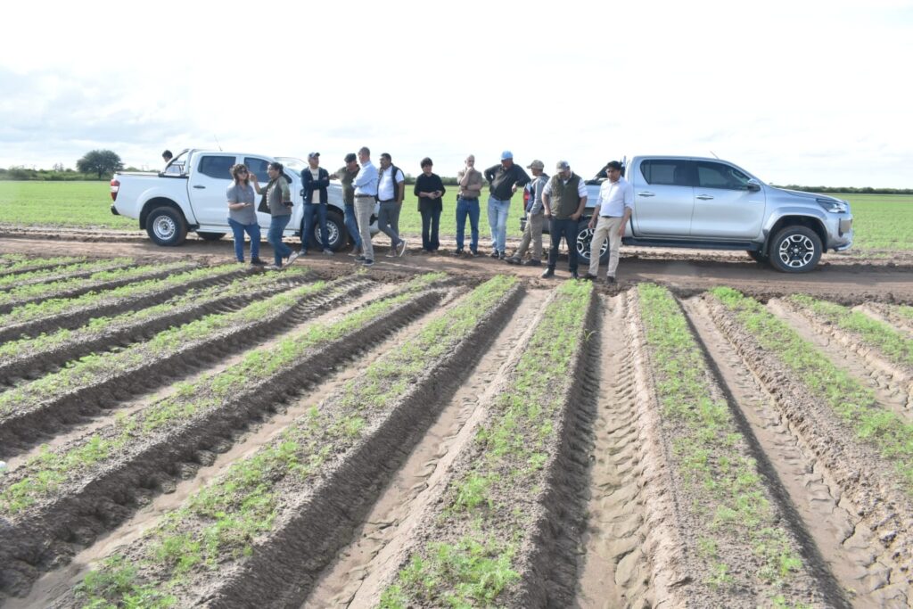 Capacitaron a productores de Colonia El Simbolar en una jornada técnica sobre fertirriego