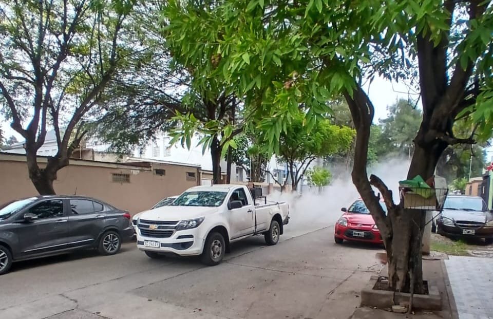 Continuarán las fumigaciones preventivas durante esta semama