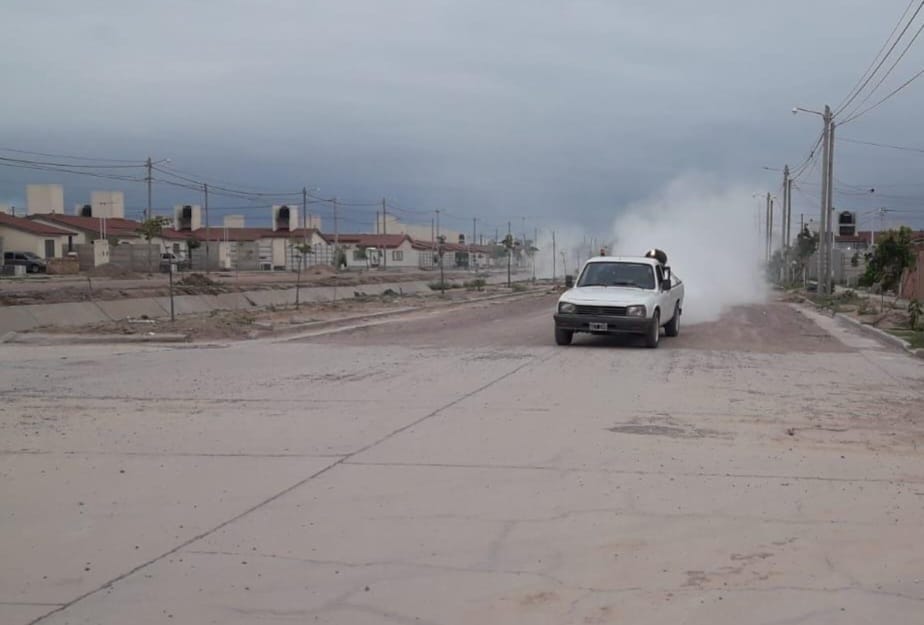 Continúan las fumigaciones en barrios de Capital