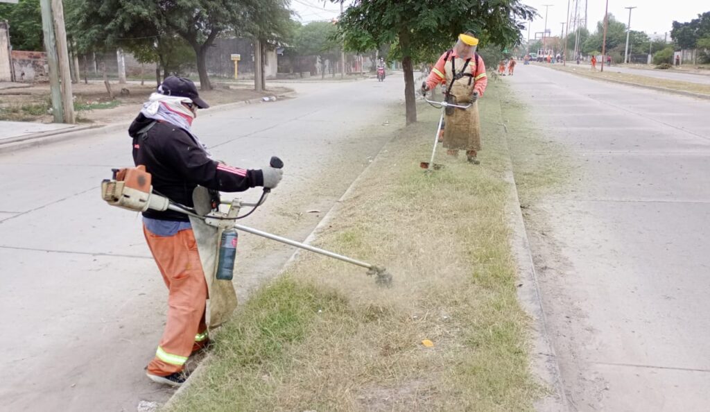 Realizaron un nuevo operativo de desmalezamiento de la platabanda de Av. Lugones