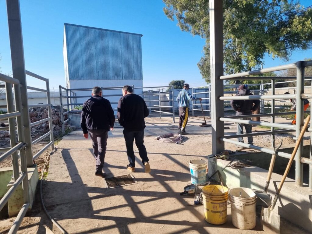 Avanzan los trabajos para reactivar el Matadero y Frigorífico de Frías