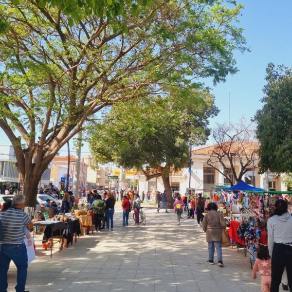 Una nueva Feria reunirá a artesanos y emprendedores de la región en Frías