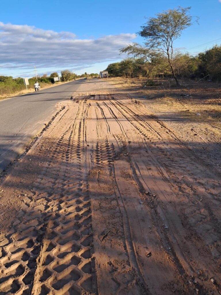 Nueva Esperanza: Realizaron tareas de mantenimiento sobre Avenida Francisco de Aguirre