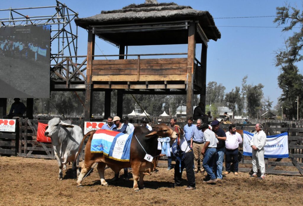 La Expo Santiago Productivo 2025 abrirá sus puertas el 31 de julio en el Vivero San Carlos