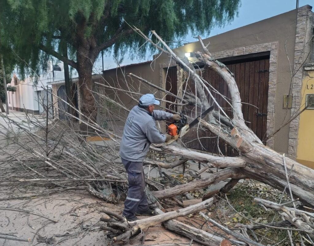 Importante trabajo del municipio bandeño por la caída de ramas tras los intensos vientos