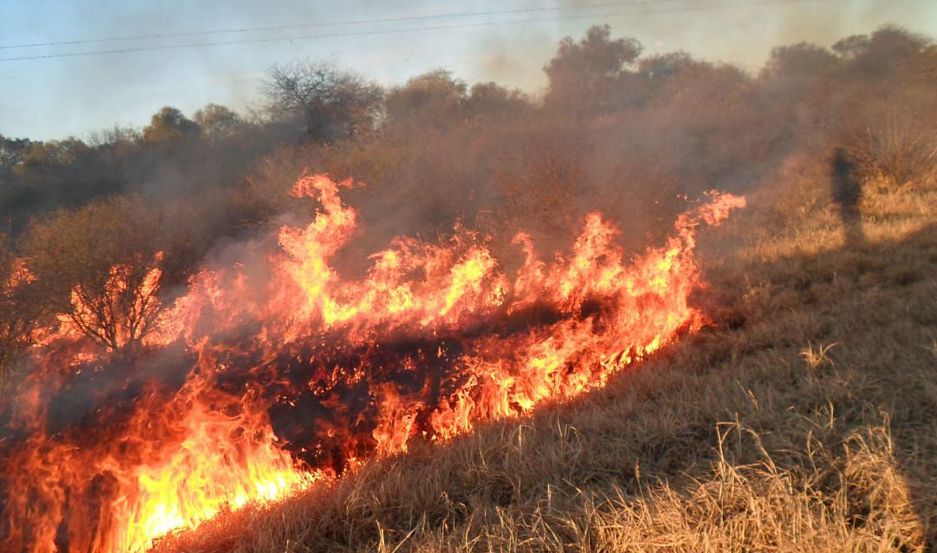 Fernández: Brindan recomendaciones para evitar incendios forestales o urbanos