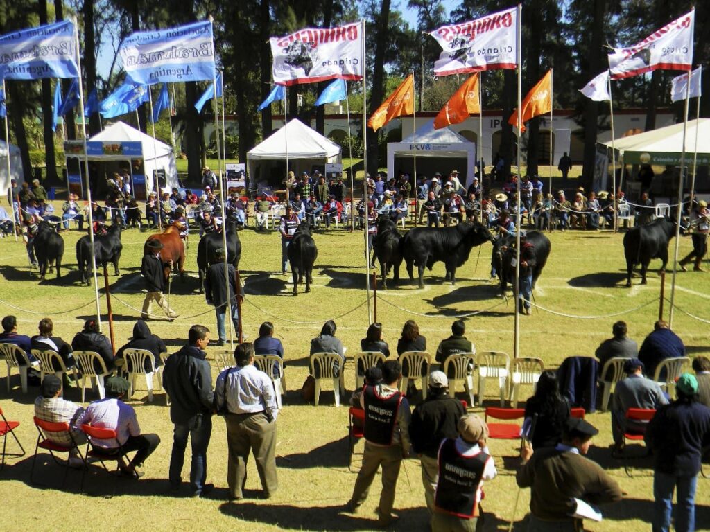 Anuncian la realización de la edición 2025 de la ExpoBra