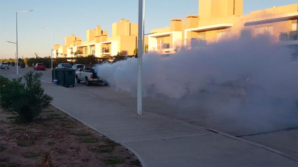 Continúan las fumigaciones preventivas en barrios de ciudad Capital