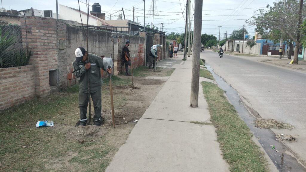 Comenzó la plantación de más de 2.300 árboles en el barrio La Católica Comenzó la plantación de más de 2.300 árboles en el barrio La Católica