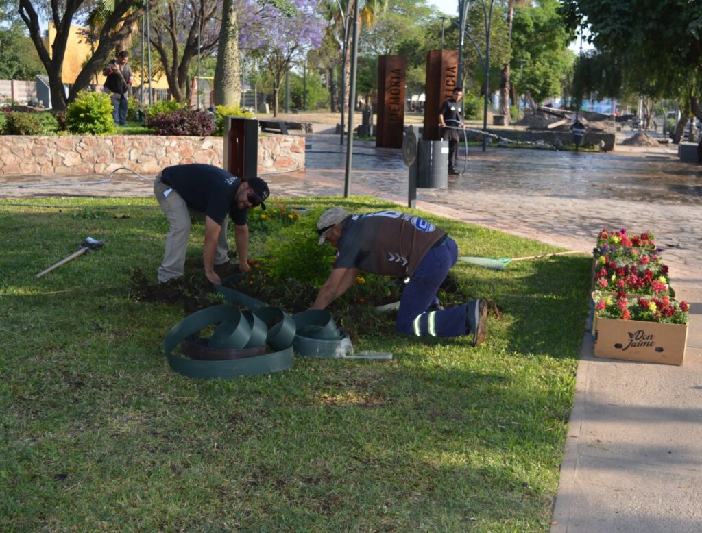 En Frías avanzan con el plan de reforestación y embellecimiento urbano En Frías avanzan con el plan de reforestación y embellecimiento urbano