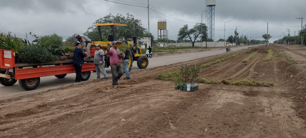 Municipales ejecutan tareas para embellecer el acceso principal de Colonia El Simbolar