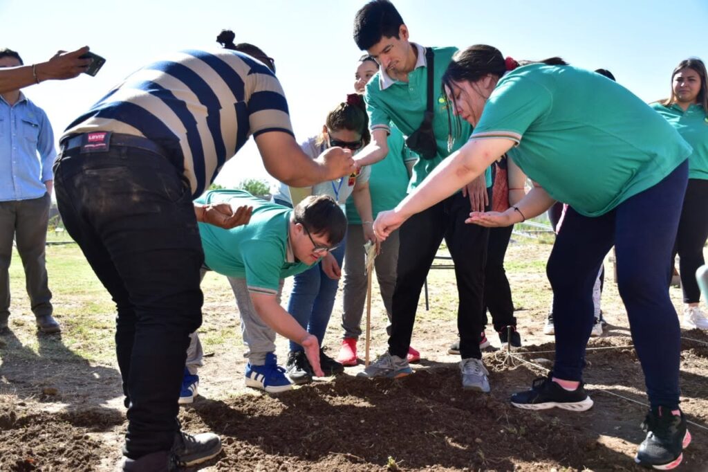 En Frías continúan con el programa “Huerta en mi Barrio” En Frías continúan con el programa “Huerta en mi Barrio”
