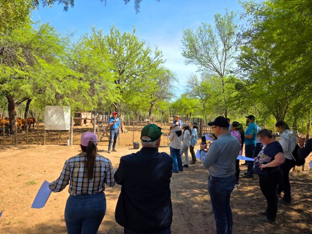 Intercambio internacional sobre experiencias en sistemas silvopastoriles