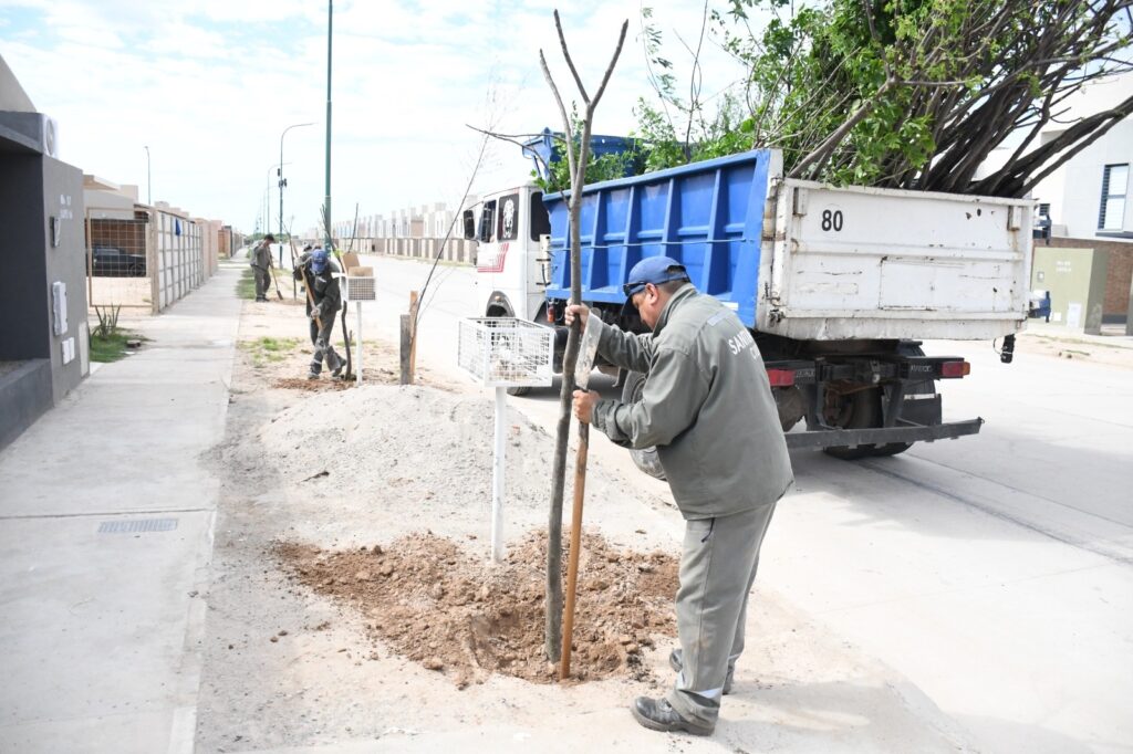 Inició la plantación de más de 1.500 árboles en el barrio Parque del Río III