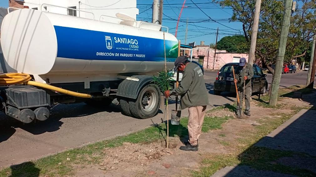 El Municipio capitalino plantó más de 60 mil árboles en distintos puntos de la ciudad